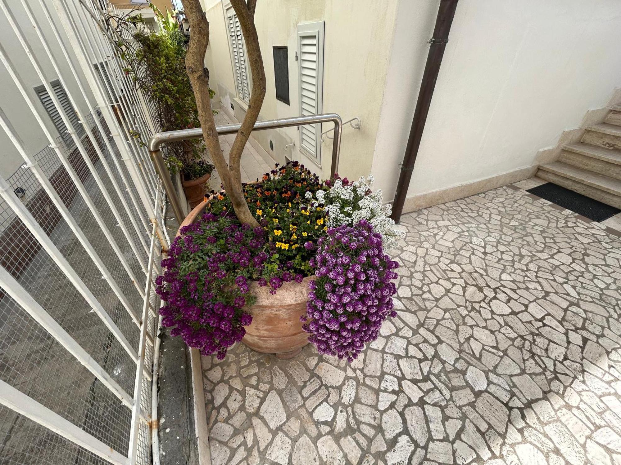 La Casa Di Rosi Al Mare Vada Exterior foto